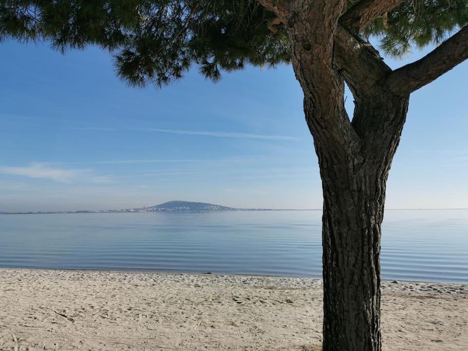 Meze, Charmant Petit Studio Proche Port Bagian luar foto